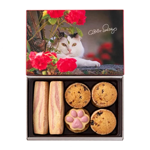 世界のネコ クッキーアソート イタリアのネコ：箱・パッケージ